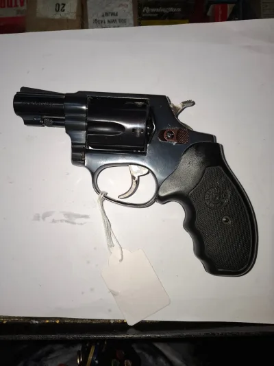 Taurus Slim Grip